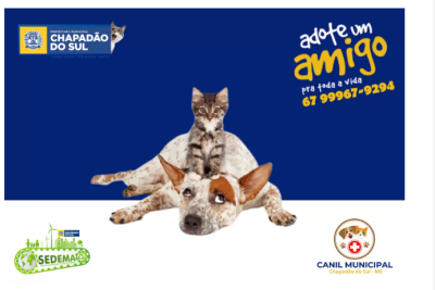 Imagem da notícia Canil Municipal de Chapadão do Sul realiza ação para adoção de animais